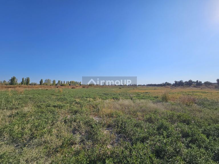 Finca en Venta en Junin, Mendoza