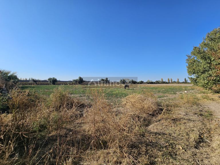 Finca en Venta en Junin, Mendoza
