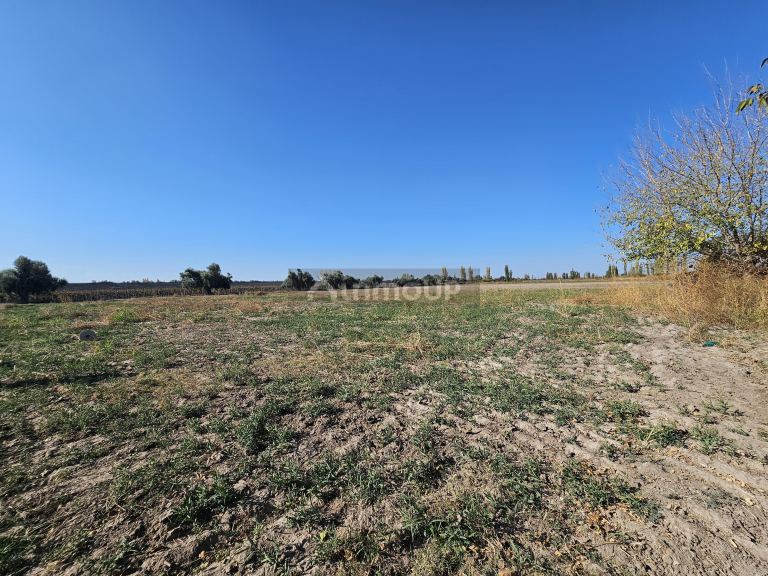 Finca en Venta en Junin, Mendoza