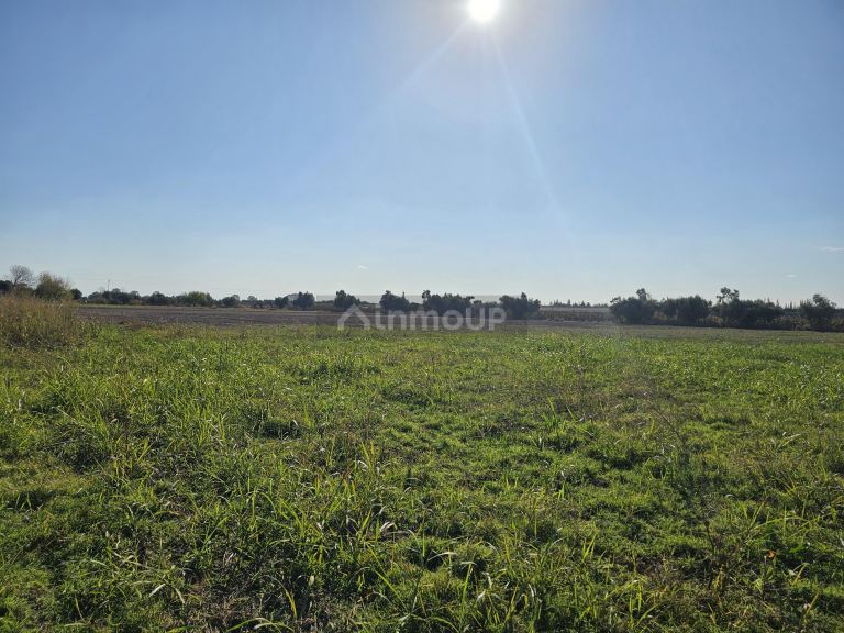 Finca en Venta en Junin, Mendoza