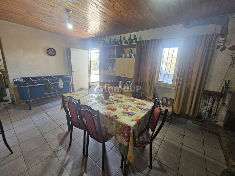 Finca en Venta en Junin, Mendoza