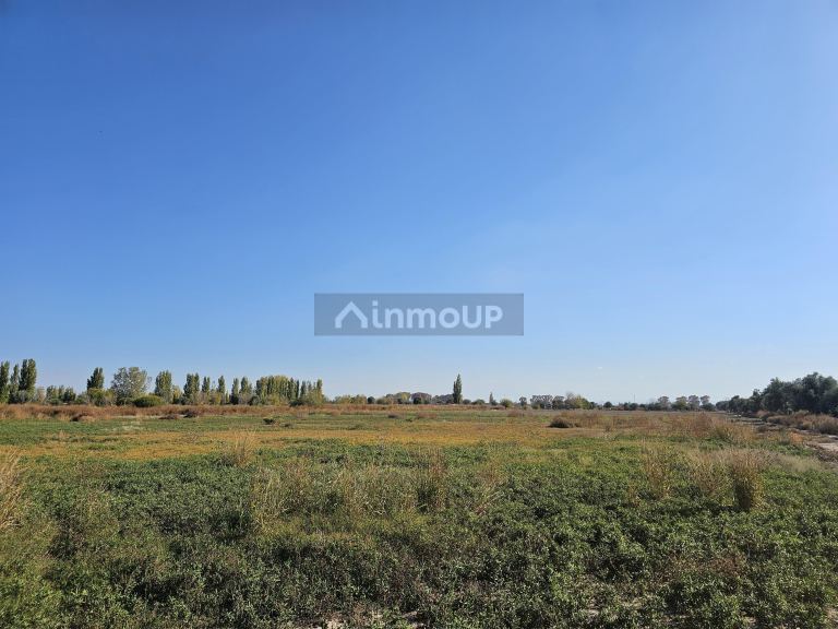 Finca en Venta en Junin, Mendoza