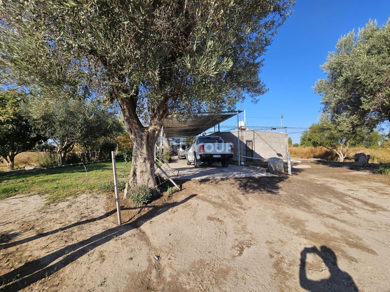 Finca en Venta en Junin, Mendoza
