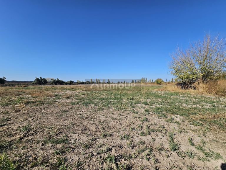 Finca en Venta en Junin, Mendoza