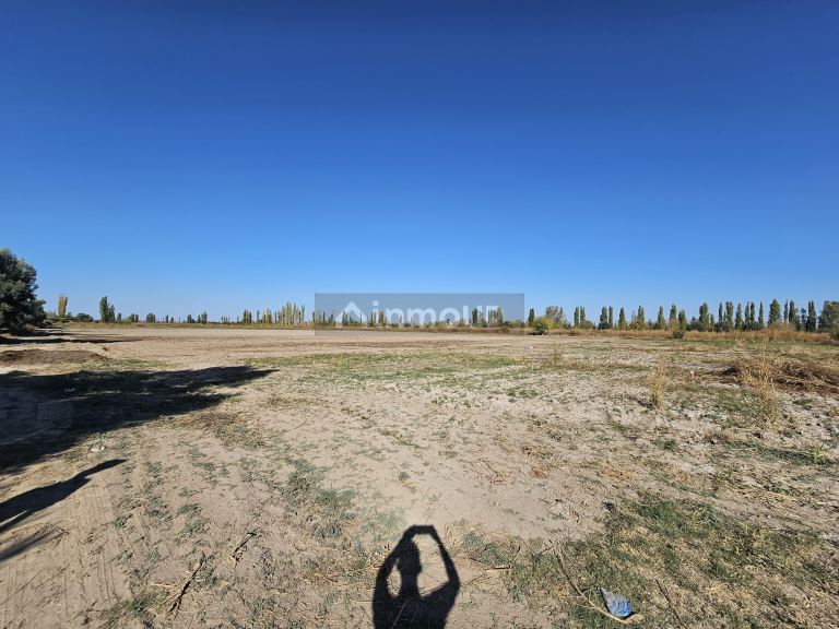 Finca en Venta en Junin, Mendoza