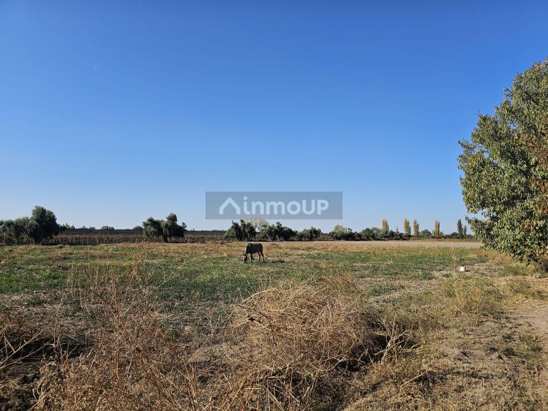 Finca en Venta en Junin, Mendoza