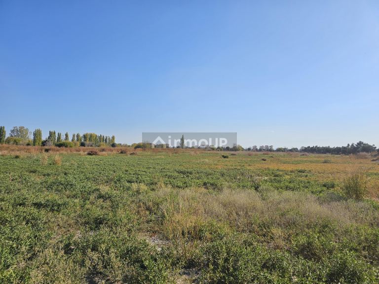 Finca en Venta en Junin, Mendoza
