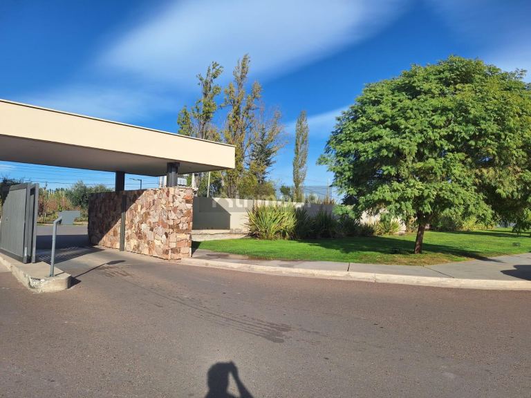 Lote en Venta en Lujan de Cuyo, Mendoza