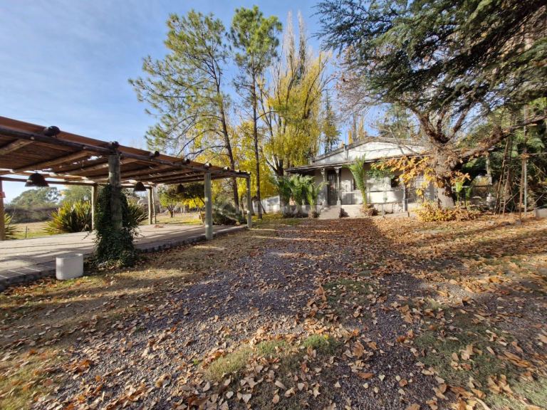 Casa en Alquiler en Lujan de Cuyo, Mendoza