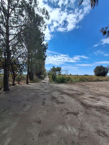 Finca en Venta en San Martin, Mendoza