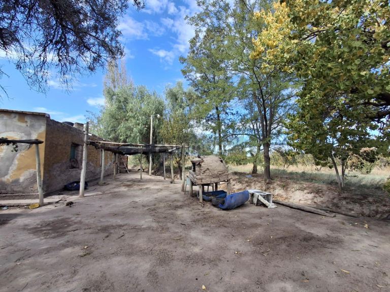 Finca en Venta en San Martin, Mendoza