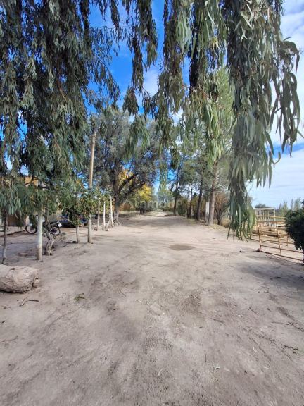 Finca en Venta en San Martin, Mendoza