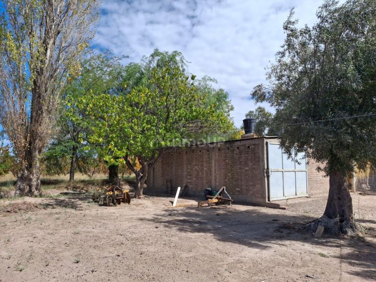Finca en Venta en San Martin, Mendoza
