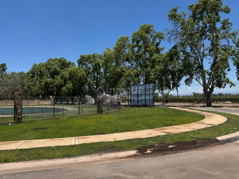 Lote en Venta en Lujan de Cuyo, Mendoza