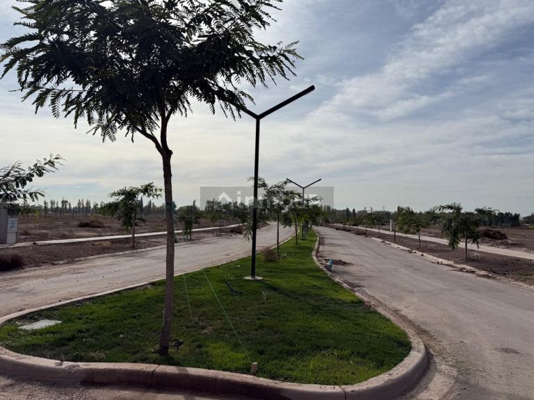 Lote en Venta en Lujan de Cuyo, Mendoza