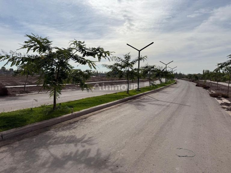 Lote en Venta en Lujan de Cuyo, Mendoza