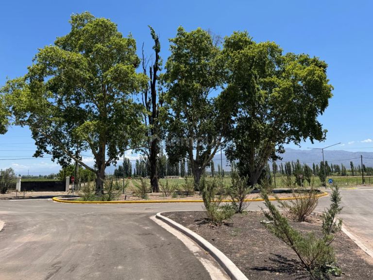 Lote en Venta en Lujan de Cuyo, Mendoza