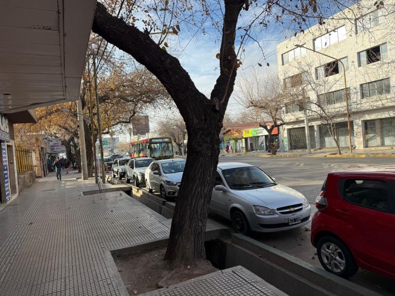 Terreno en Venta en Capital, Mendoza