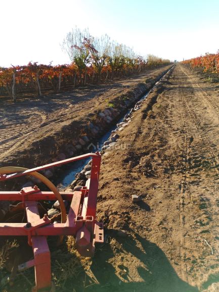 Finca en Venta en Maipu, Mendoza