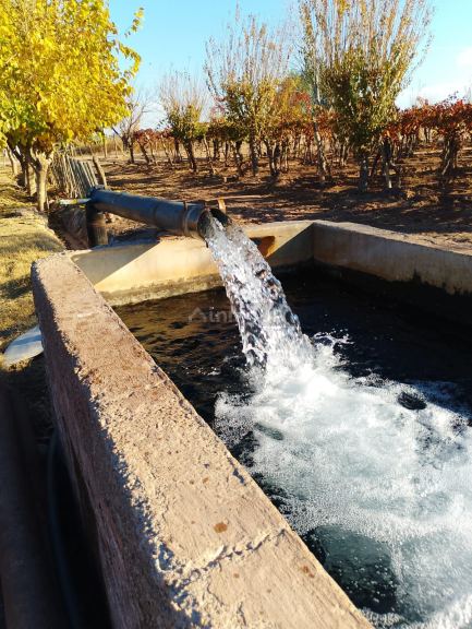 Finca en Venta en Maipu, Mendoza