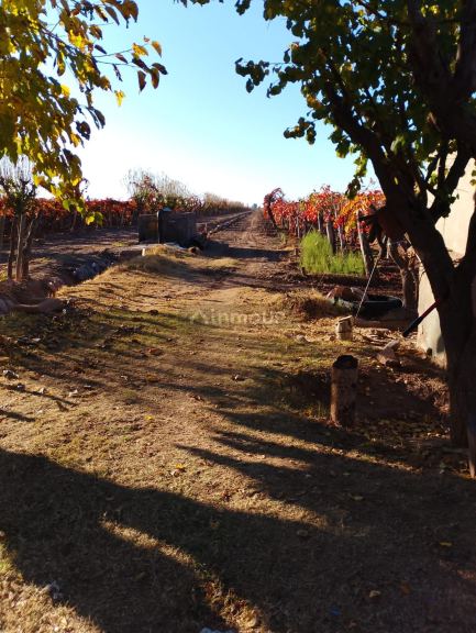 Finca en Venta en Maipu, Mendoza