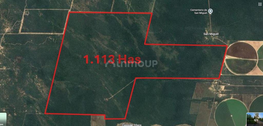 Campo en Venta en San Javier, Cordoba