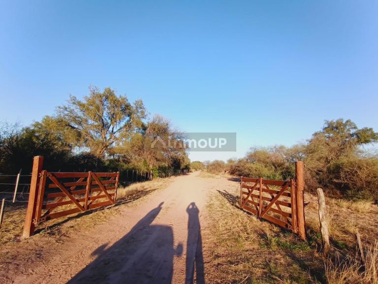 Campo en Venta en San Javier, Cordoba