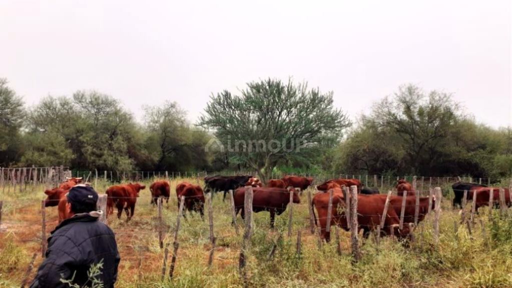 Campo en Venta en San Javier, Cordoba