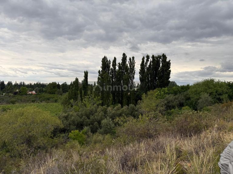 Lote en Venta en Lujan de Cuyo, Mendoza
