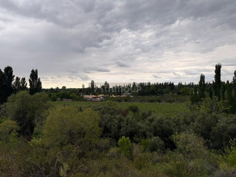 Lote en Venta en Lujan de Cuyo, Mendoza