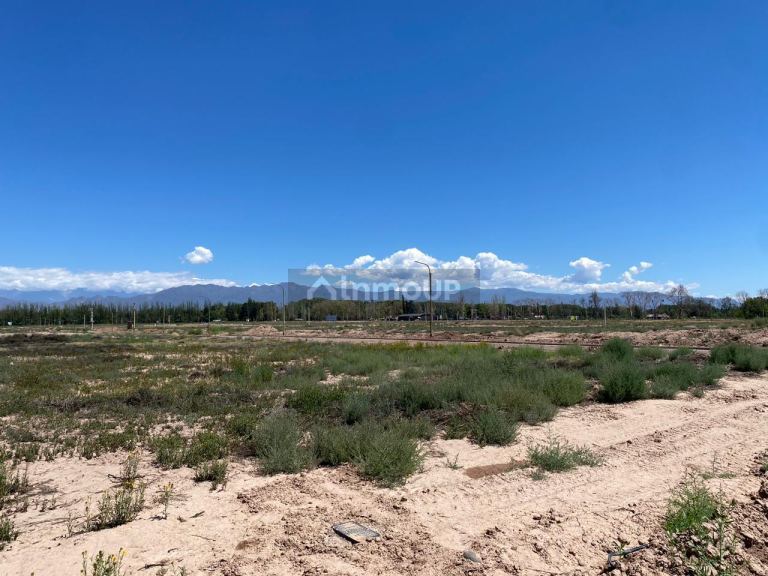 Lote en Venta en Lujan de Cuyo, Mendoza
