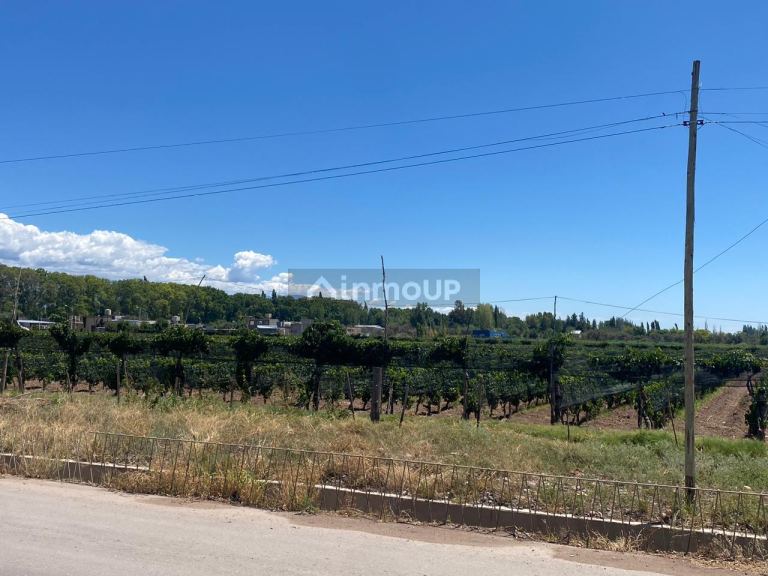 Lote en Venta en Lujan de Cuyo, Mendoza