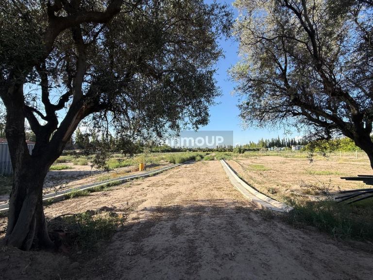 Lote en Venta en Lujan de Cuyo, Mendoza