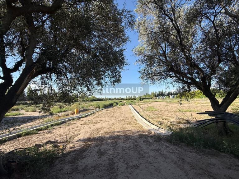 Lote en Venta en Lujan de Cuyo, Mendoza