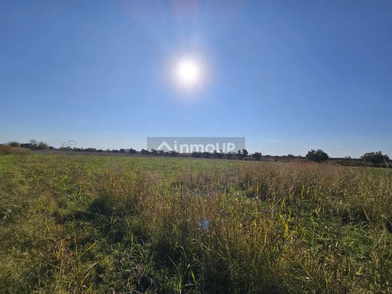 Finca en Venta en Junin, Mendoza