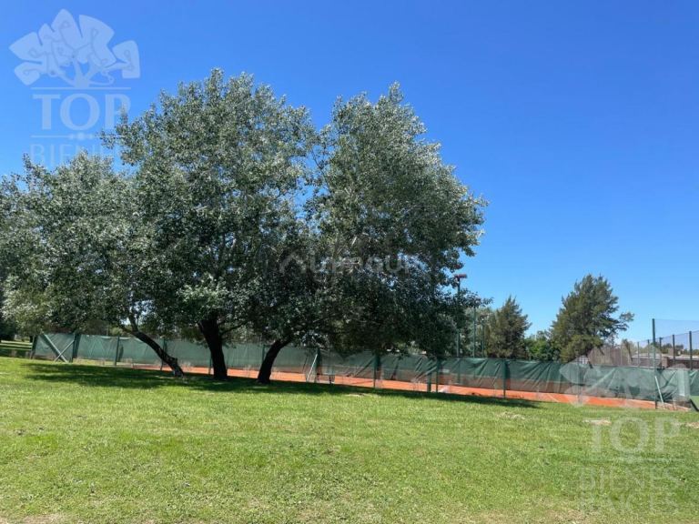 Terreno en Venta en Campana, G.B.A. Zona Norte