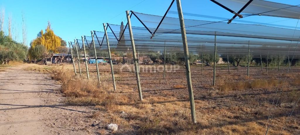 Terreno en Venta en Maipu, Mendoza
