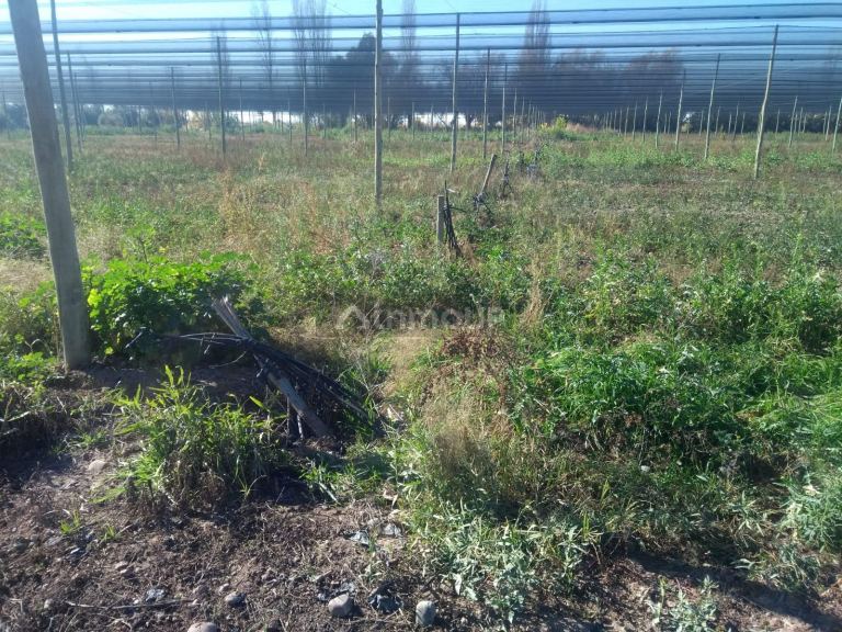 Terreno en Venta en Maipu, Mendoza