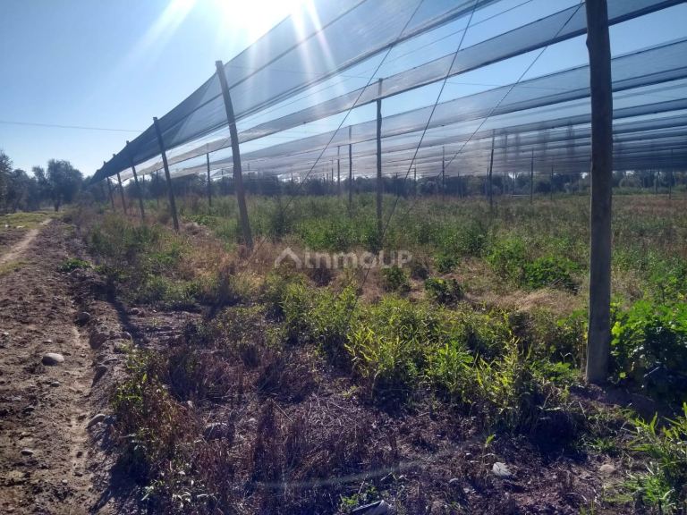 Terreno en Venta en Maipu, Mendoza