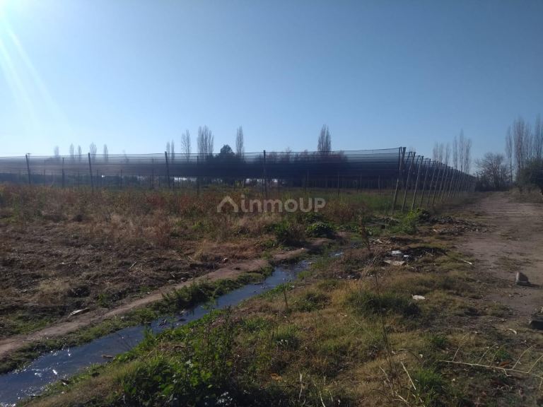 Terreno en Venta en Maipu, Mendoza