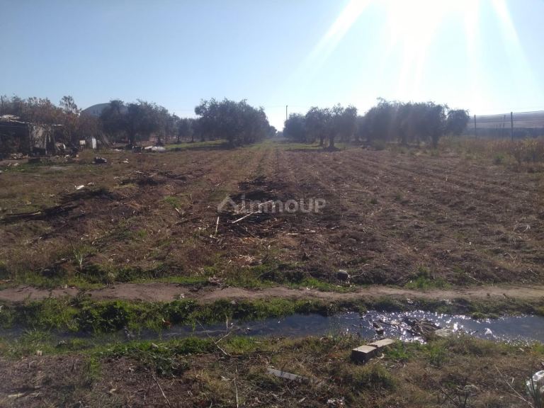 Terreno en Venta en Maipu, Mendoza