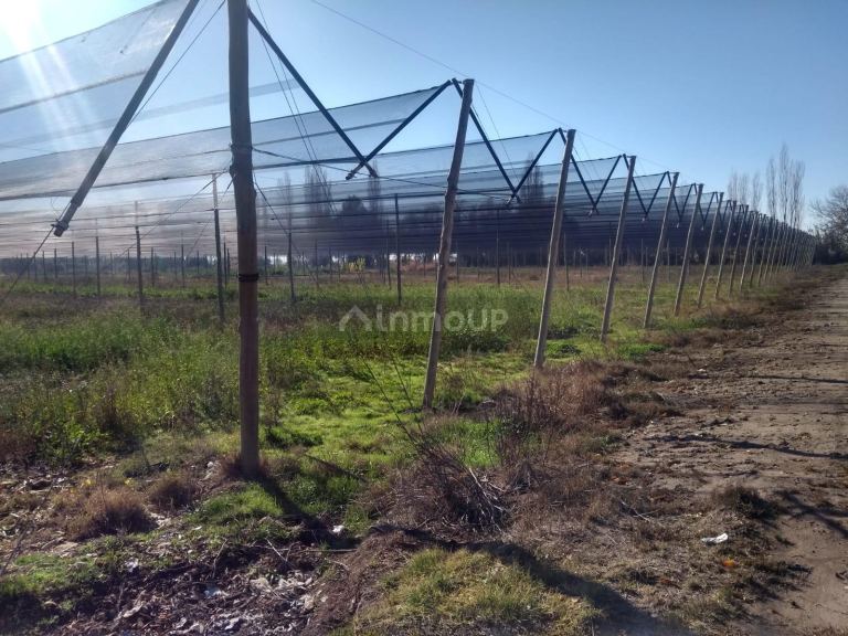 Terreno en Venta en Maipu, Mendoza