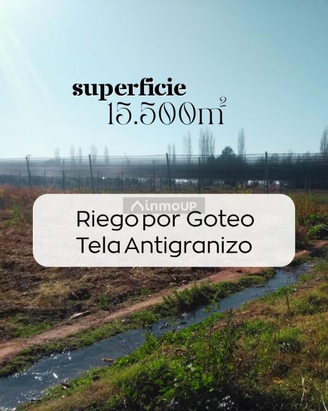 Terreno en Venta en Maipu, Mendoza