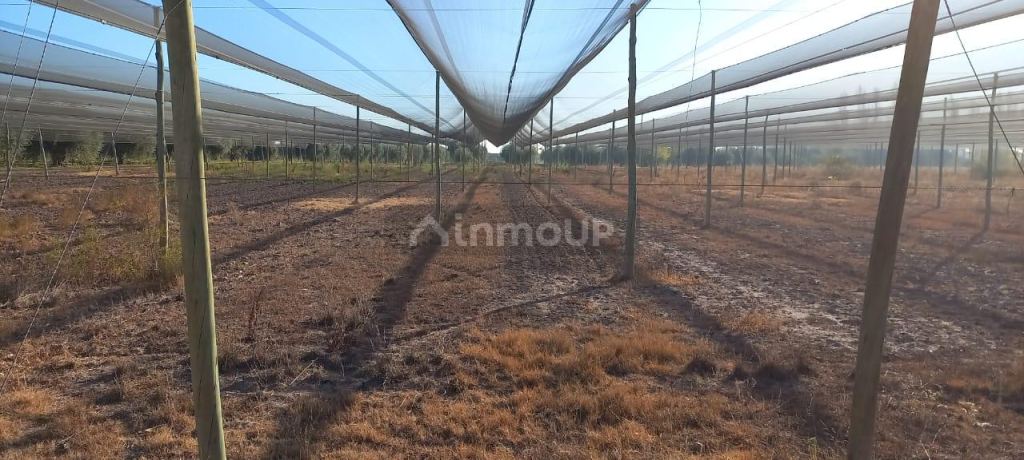 Terreno en Venta en Maipu, Mendoza