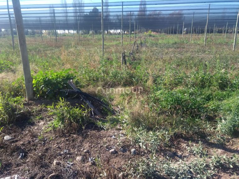 Terreno en Venta en Maipu, Mendoza