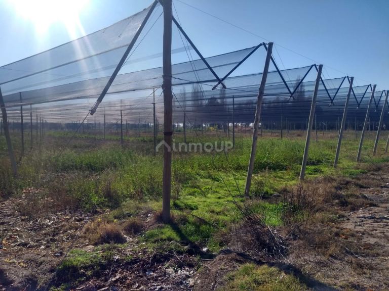 Terreno en Venta en Maipu, Mendoza