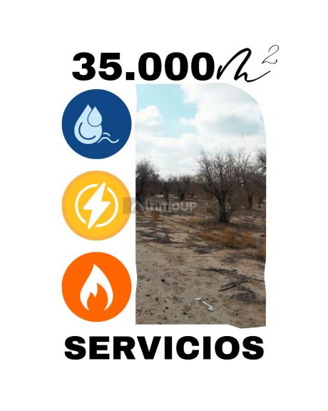 Terreno en Venta en Maipu, Mendoza