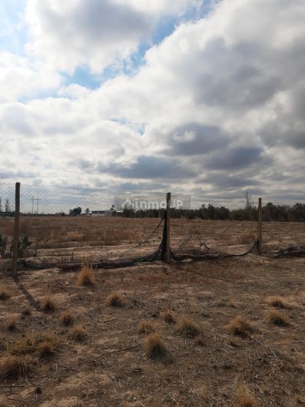 Terreno en Venta en Maipu, Mendoza