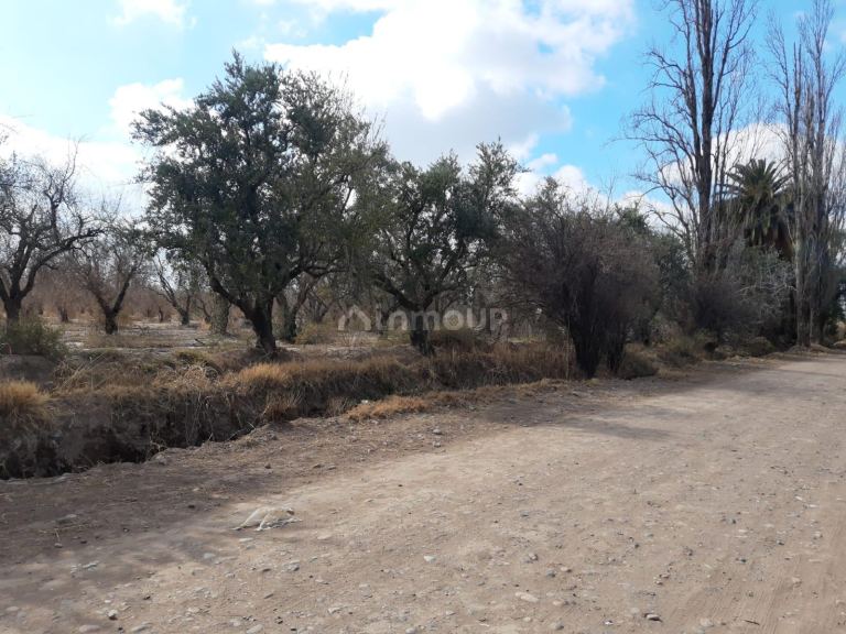 Terreno en Venta en Maipu, Mendoza