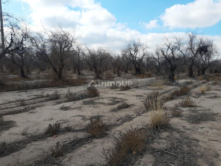 Terreno en Venta en Maipu, Mendoza